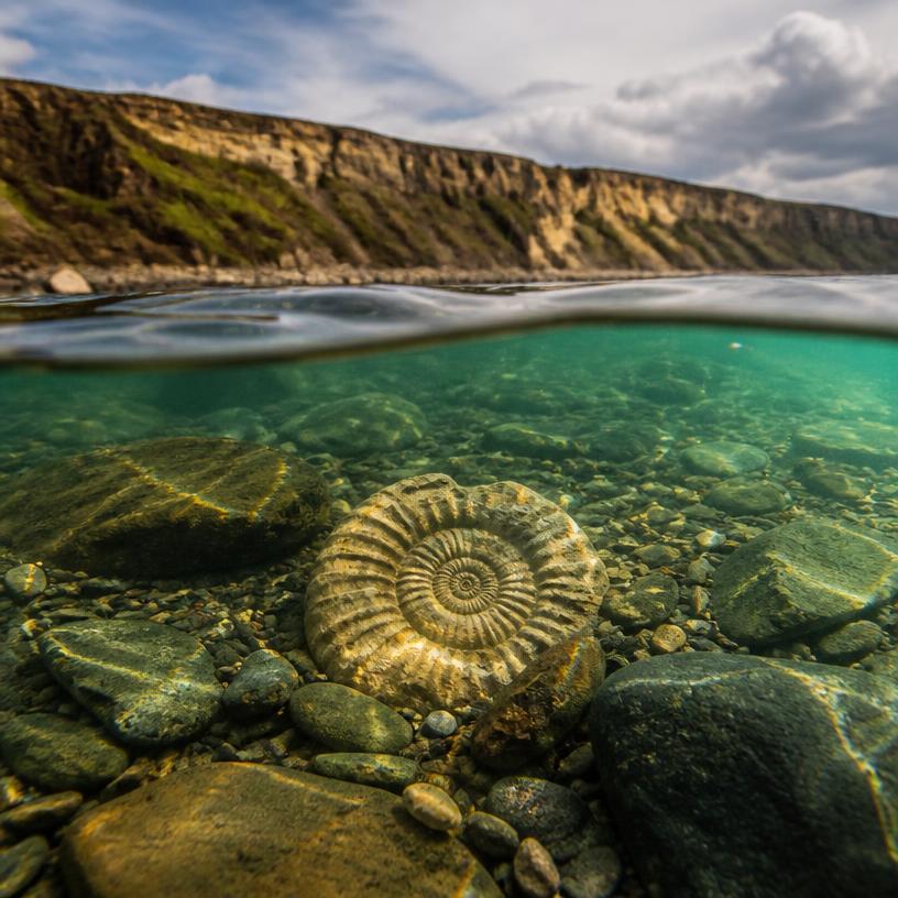 Beneath the Waves: Secrets of Jurassic Coast