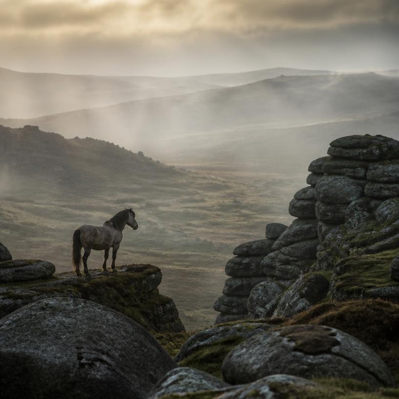Navigating the Enigmas of Dartmoor