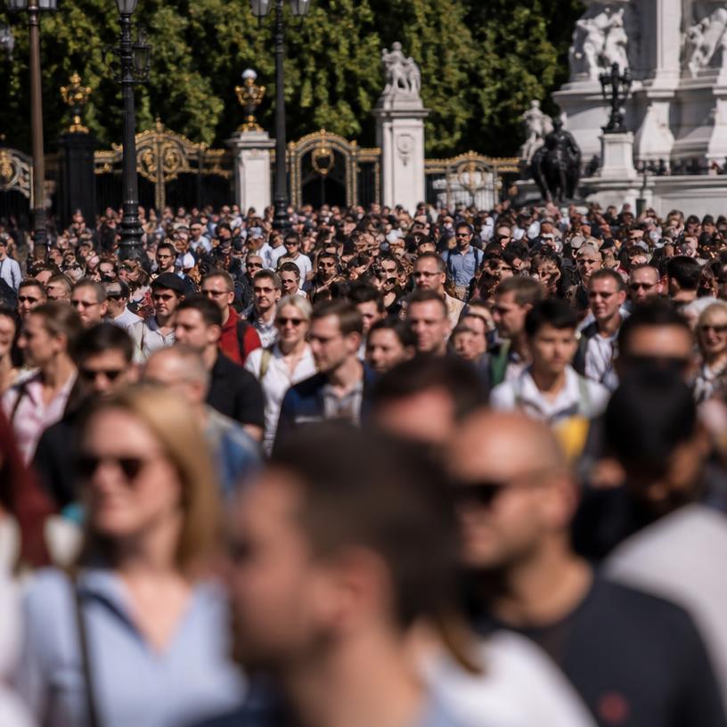 The Paradox of the Masses: Harmony or Chaos?