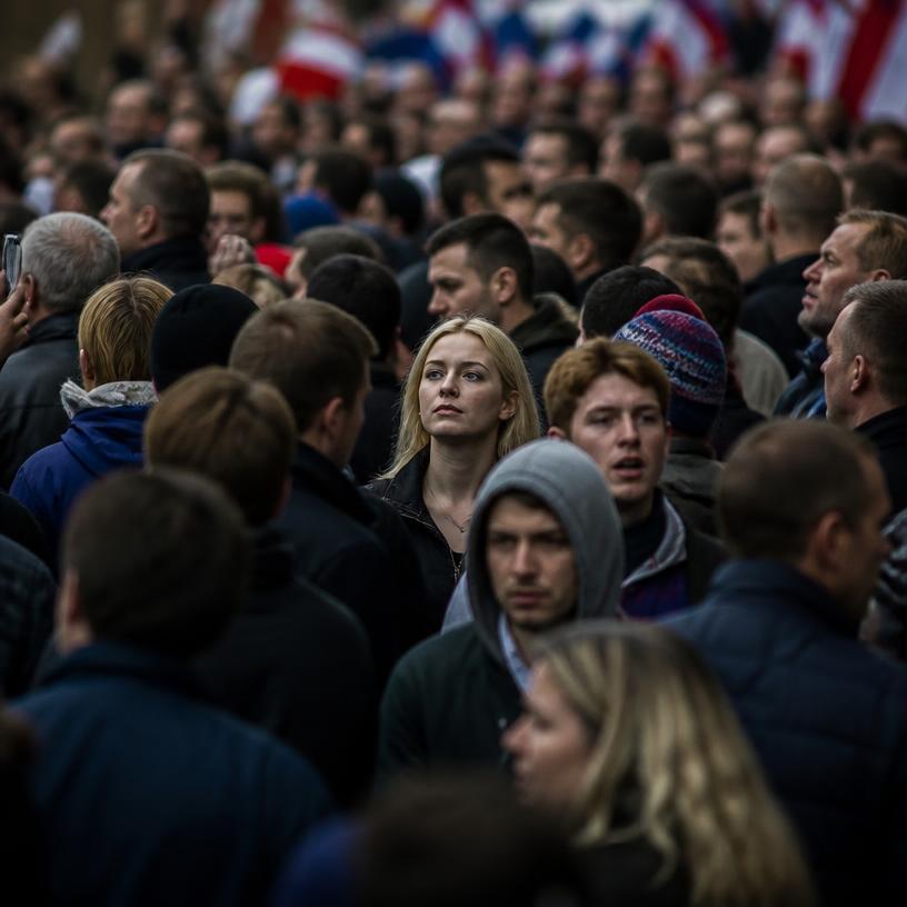 The Psychology of the Collective: Navigating the Dynamics of Group Behaviour