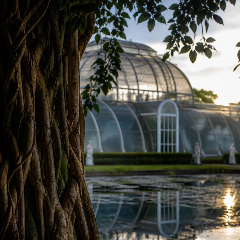 Hidden Wonders of Kew