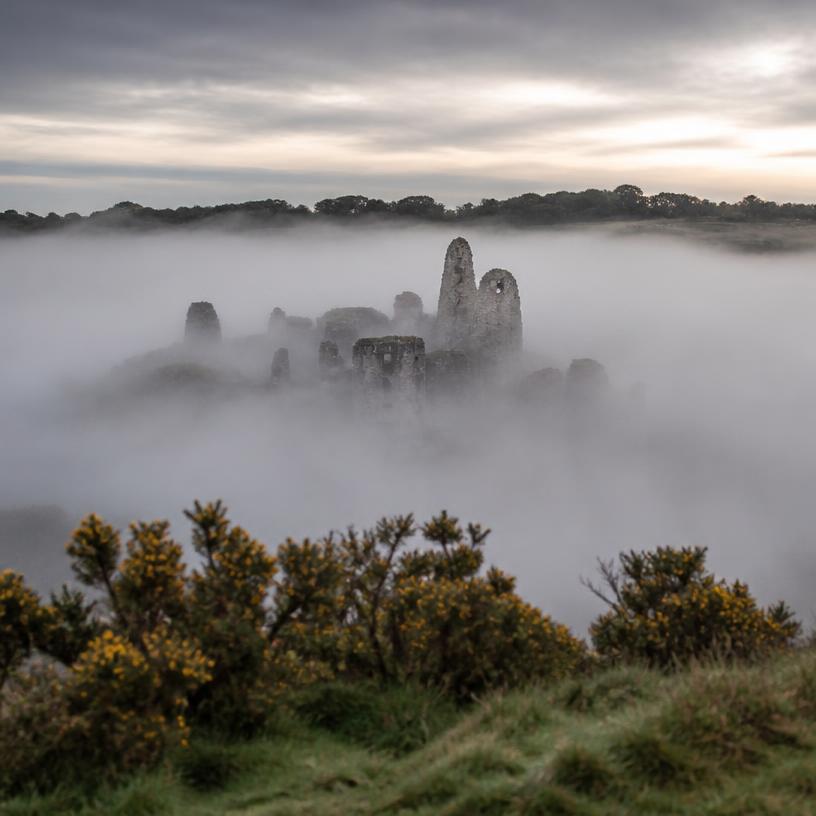 Mysteries Beneath the Mist