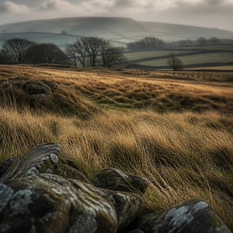The Enigmatic Fields of Britain