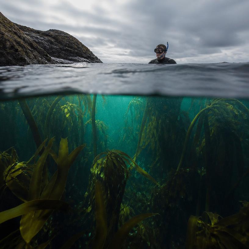 Mysteries Beneath the Surface