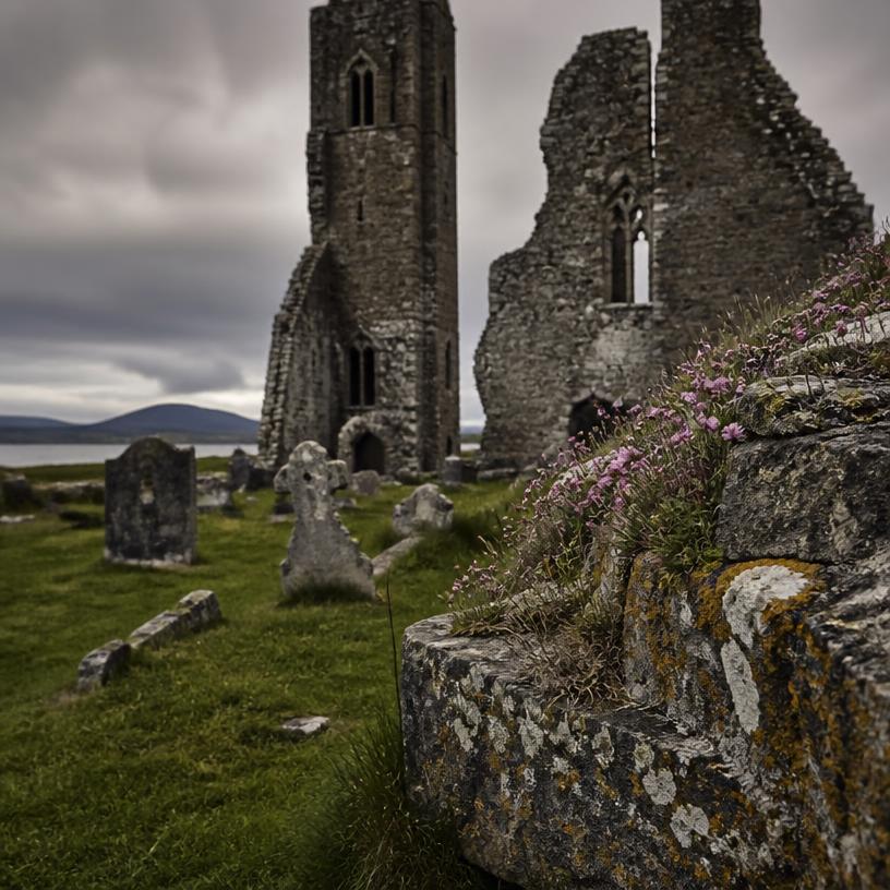 Chilling Tales from the Ruins